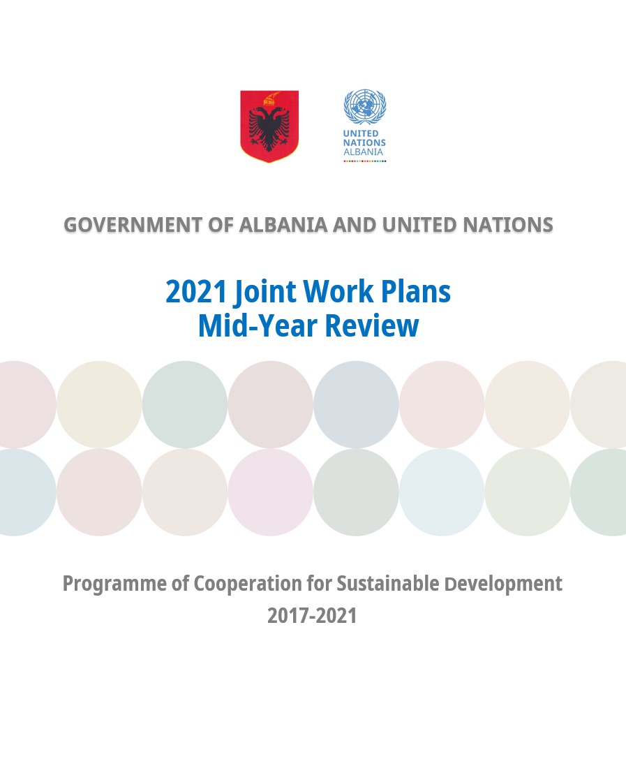 2021 Joint Work Plans: The Mid-Year Review