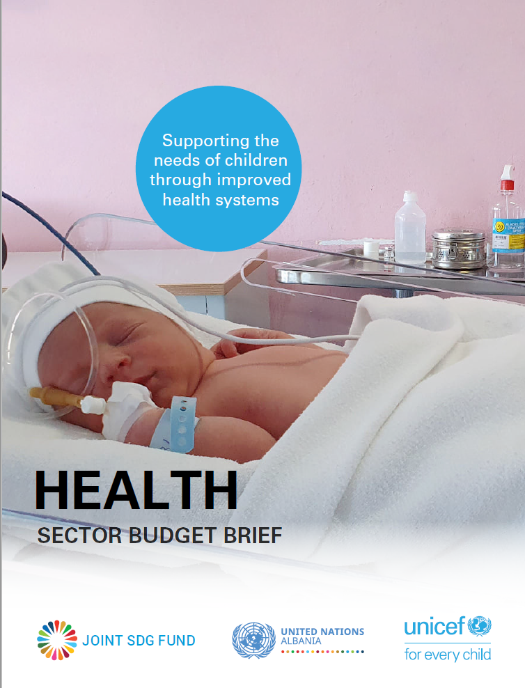 Health Sector Budget Brief